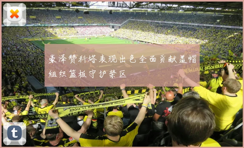 豪泽赞科塔表现出色全面贡献盖帽组织篮板守护禁区